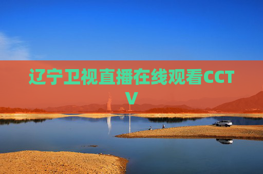 辽宁卫视直播在线观看CCTV