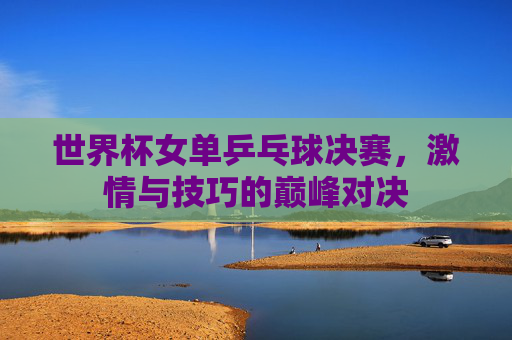 世界杯女单乒乓球决赛，激情与技巧的巅峰对决