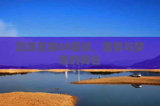 足球直播88看球，激情与梦想的舞台