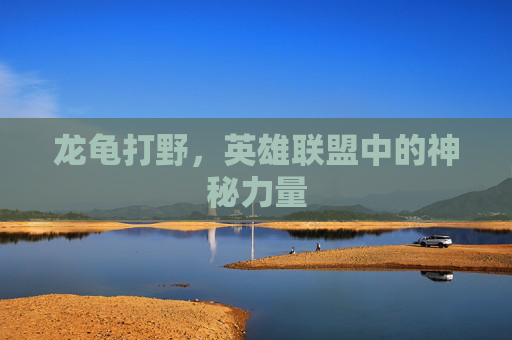 龙龟打野，英雄联盟中的神秘力量