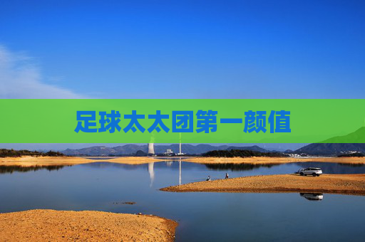 足球太太团第一颜值 足球太太团第一颜值
