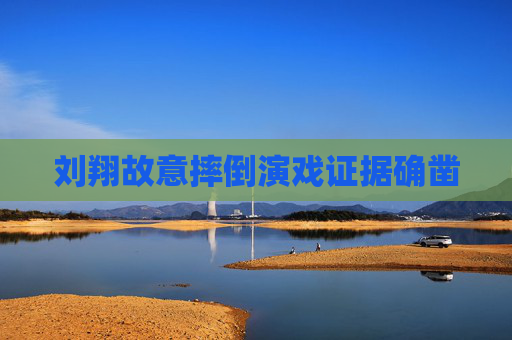 刘翔故意摔倒演戏证据确凿
