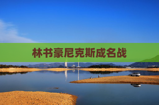 林书豪尼克斯成名战 林书豪尼克斯成名战