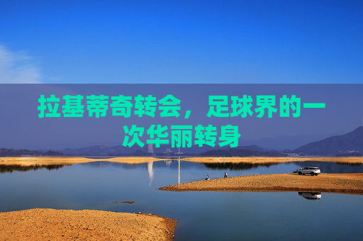 拉基蒂奇转会，足球界的一次华丽转身