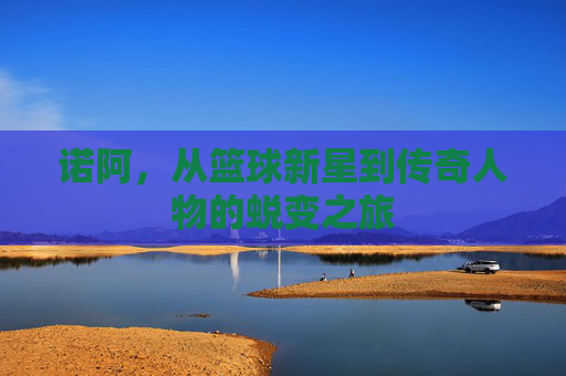 诺阿，从篮球新星到传奇人物的蜕变之旅