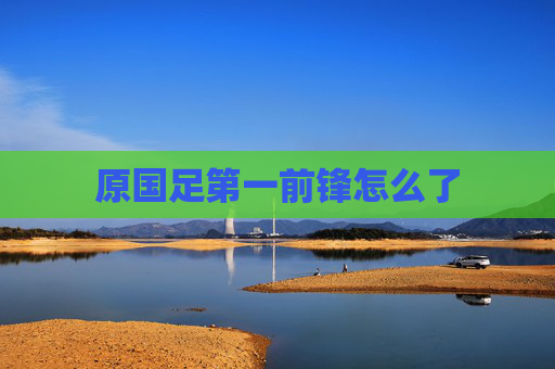原国足第一前锋怎么了