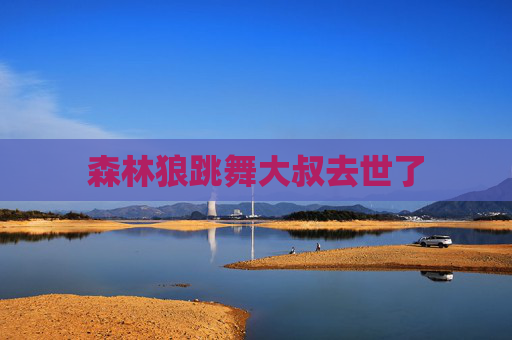 森林狼跳舞大叔去世了