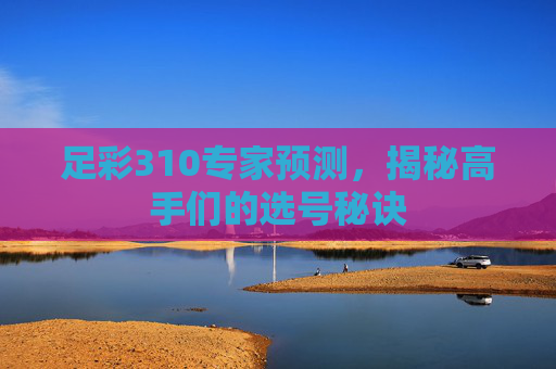 足彩310专家预测，揭秘高手们的选号秘诀