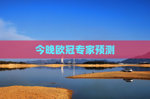 今晚欧冠专家预测
