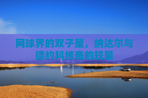 网球界的双子星，纳达尔与德约科维奇的较量