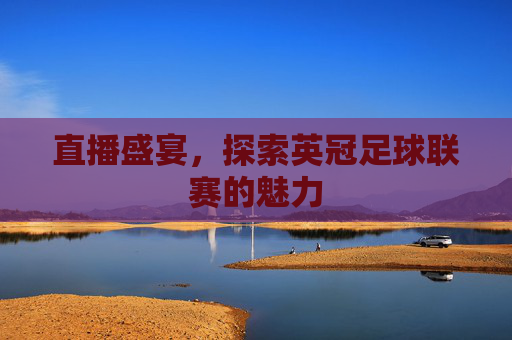 直播盛宴，探索英冠足球联赛的魅力