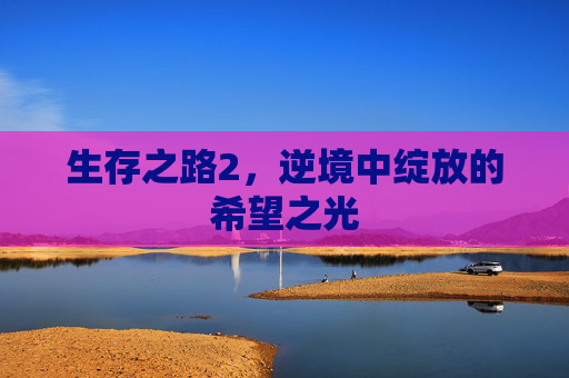 生存之路2，逆境中绽放的希望之光