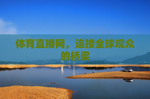 体育直播网，连接全球观众的桥梁