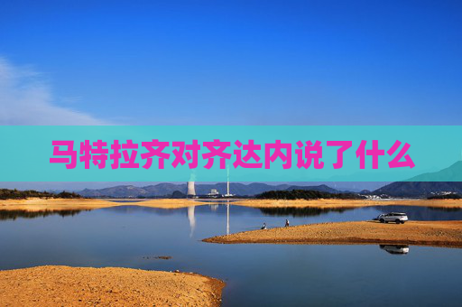 马特拉齐对齐达内说了什么