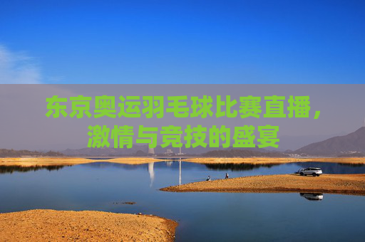 东京奥运羽毛球比赛直播，激情与竞技的盛宴