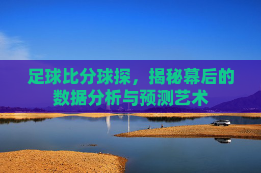 足球比分球探，揭秘幕后的数据分析与预测艺术