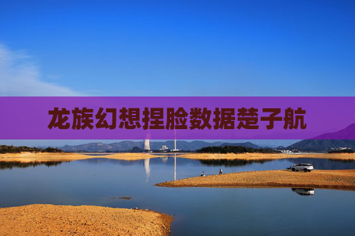 龙族幻想捏脸数据楚子航