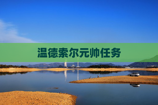 温德索尔元帅任务