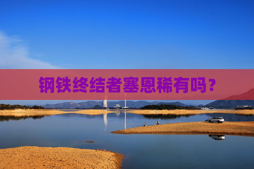 钢铁终结者塞恩稀有吗？