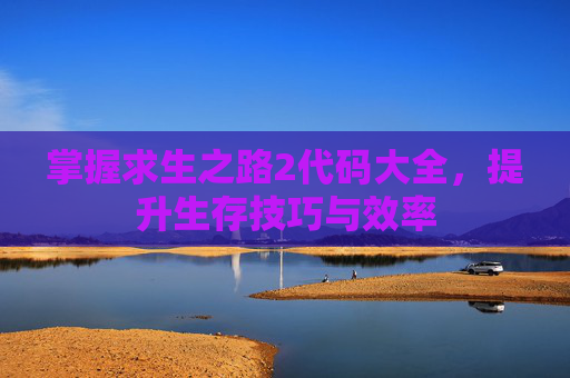 掌握求生之路2代码大全，提升生存技巧与效率