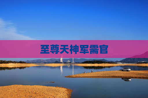 至尊天神军需官