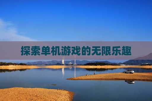 探索单机游戏的无限乐趣