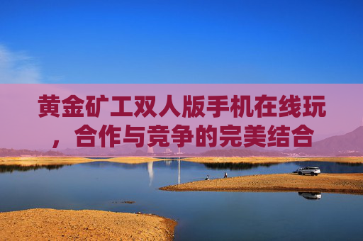 黄金矿工双人版手机在线玩，合作与竞争的完美结合