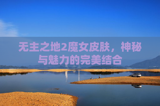 无主之地2魔女皮肤，神秘与魅力的完美结合