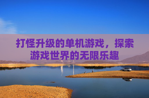 打怪升级的单机游戏，探索游戏世界的无限乐趣
