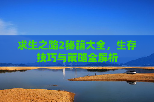 求生之路2秘籍大全，生存技巧与策略全解析