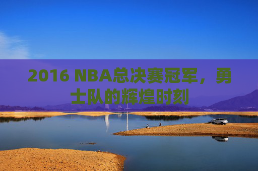 2016 NBA总决赛冠军，勇士队的辉煌时刻