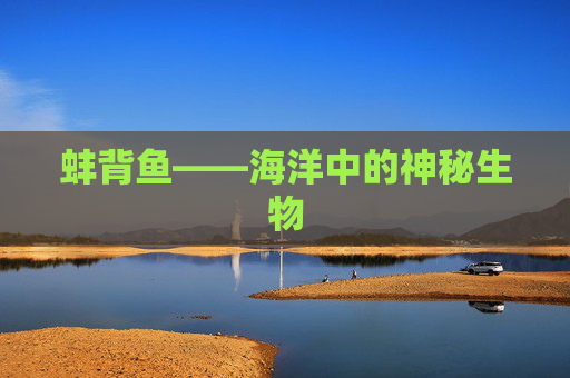蚌背鱼——海洋中的神秘生物