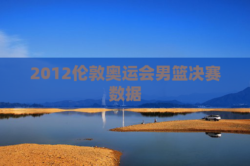 2012伦敦奥运会男篮决赛数据