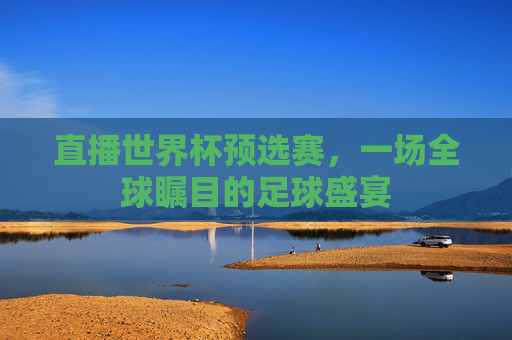 直播世界杯预选赛，一场全球瞩目的足球盛宴