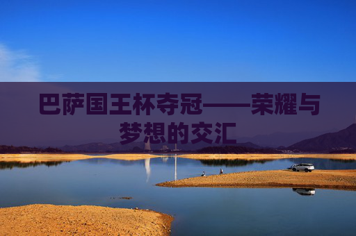 巴萨国王杯夺冠——荣耀与梦想的交汇