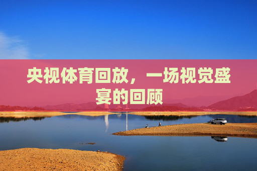 央视体育回放，一场视觉盛宴的回顾