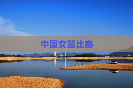 中国女篮比赛