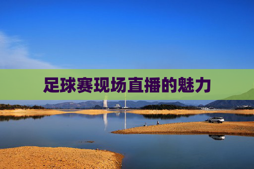 足球赛现场直播的魅力