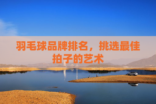 羽毛球品牌排名，挑选最佳拍子的艺术