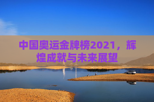 中国奥运金牌榜2021，辉煌成就与未来展望