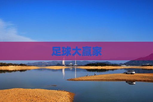 足球大赢家