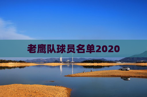 老鹰队球员名单2020