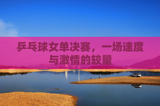 乒乓球女单决赛，一场速度与激情的较量