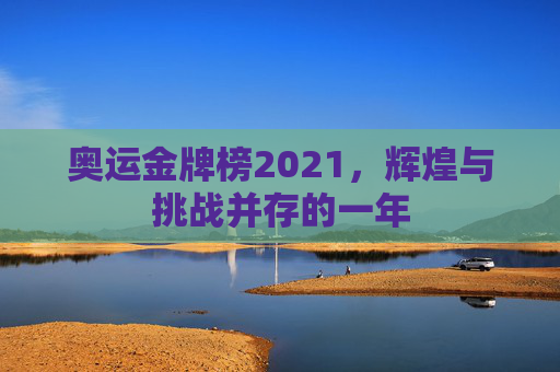 奥运金牌榜2021，辉煌与挑战并存的一年
