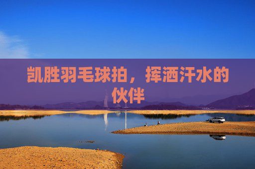 凯胜羽毛球拍，挥洒汗水的伙伴