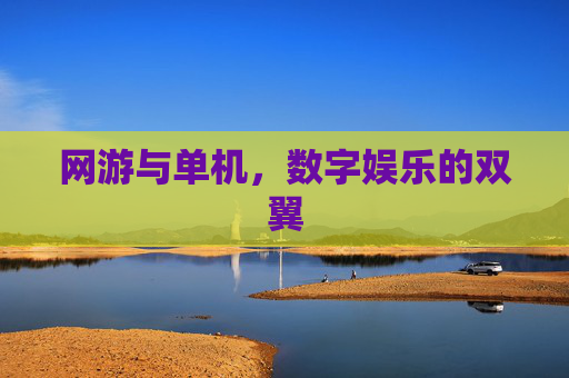 网游与单机,数字娱乐的双翼 网游与单机,数字娱乐的双翼