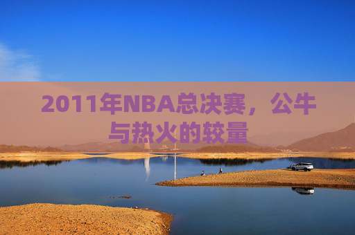 2011年NBA总决赛,公牛与热火的较量 2011年NBA总决赛,公牛与热火的较量