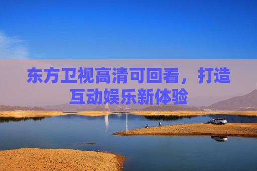 东方卫视高清可回看，打造互动娱乐新体验
