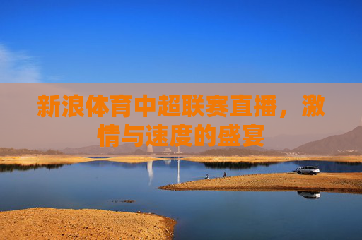 新浪体育中超联赛直播，激情与速度的盛宴