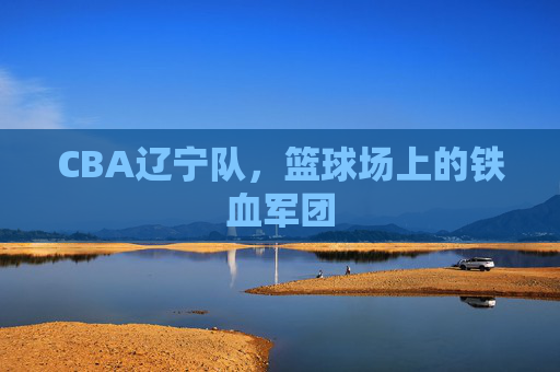 CBA辽宁队，篮球场上的铁血军团